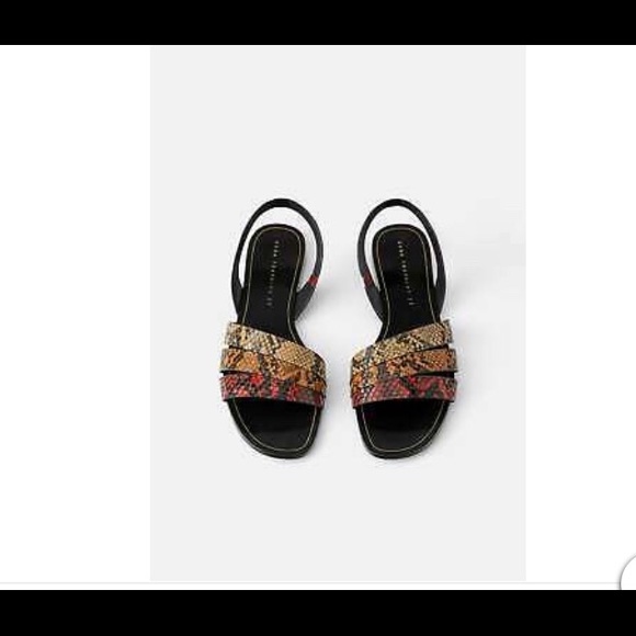 ISO - Picture 1 of 1